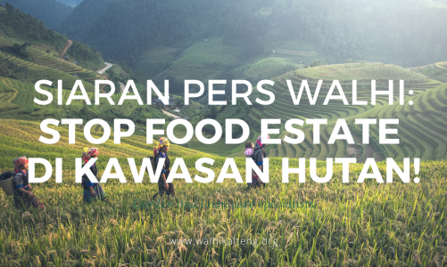 Siaran Pers WALHI: Stop Food Estate di Kawasan Hutan!
